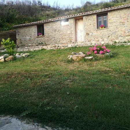 Il Cerro Agriturismo Zagarese Fuscaldo Εξωτερικό φωτογραφία