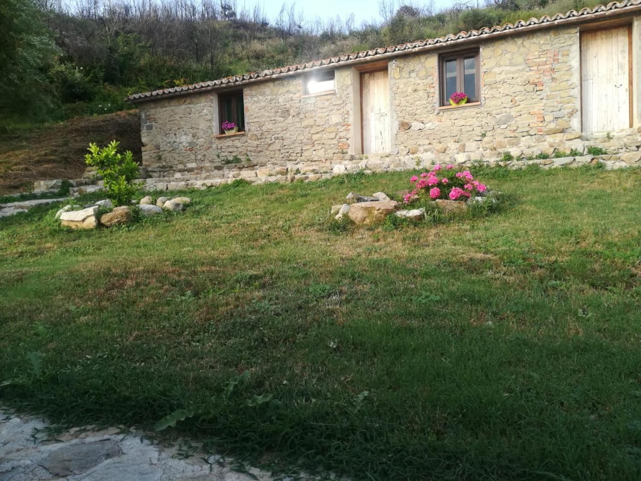 Il Cerro Agriturismo Zagarese Fuscaldo Εξωτερικό φωτογραφία