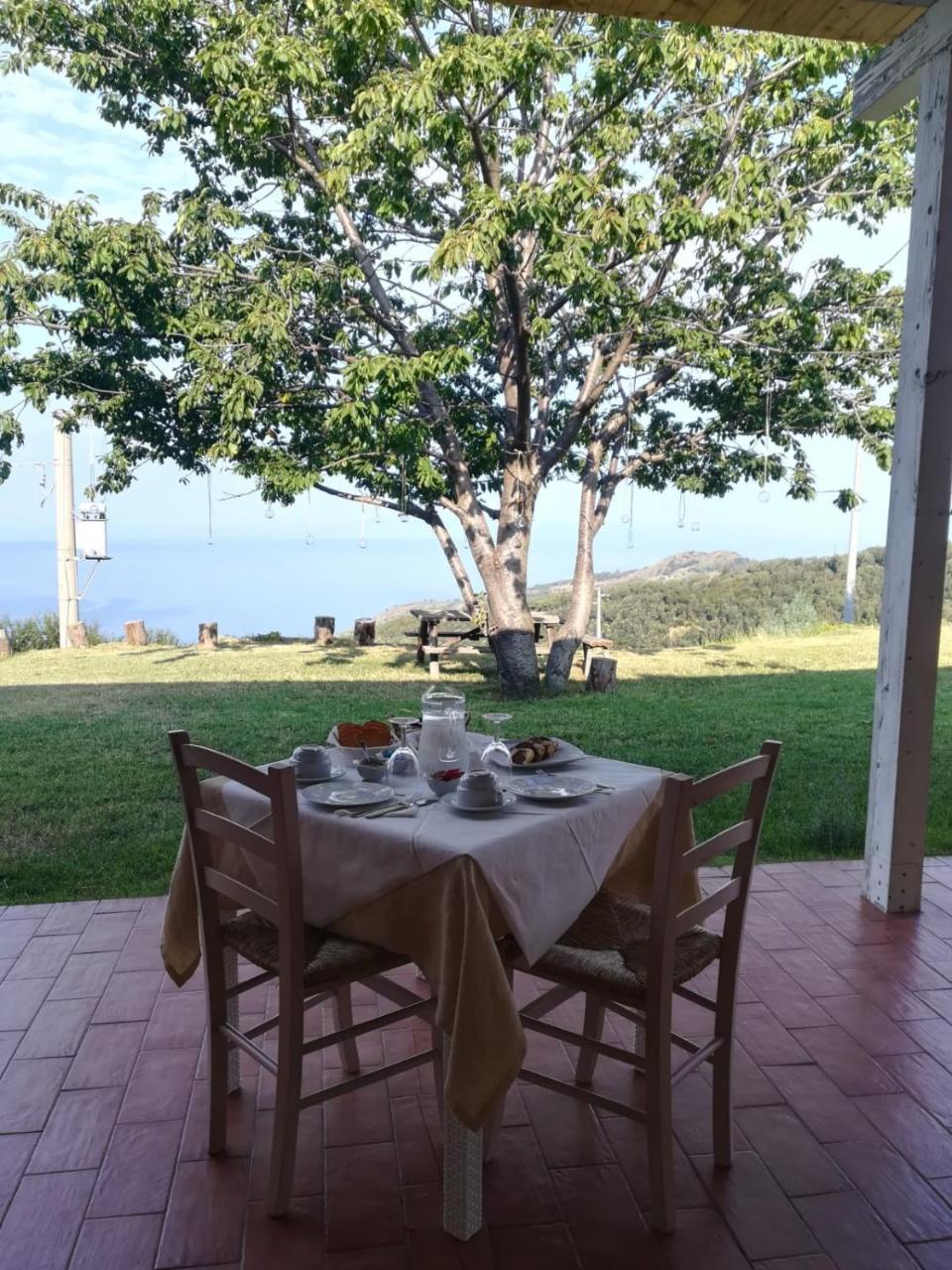 Il Cerro Agriturismo Zagarese Fuscaldo Εξωτερικό φωτογραφία